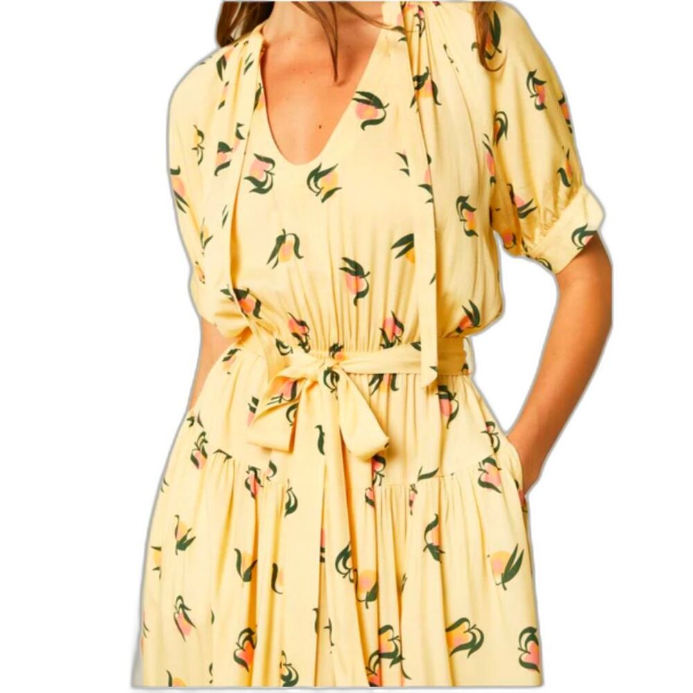 Nwt Compania Fantastica Yellow Peaches Maxi Dress S